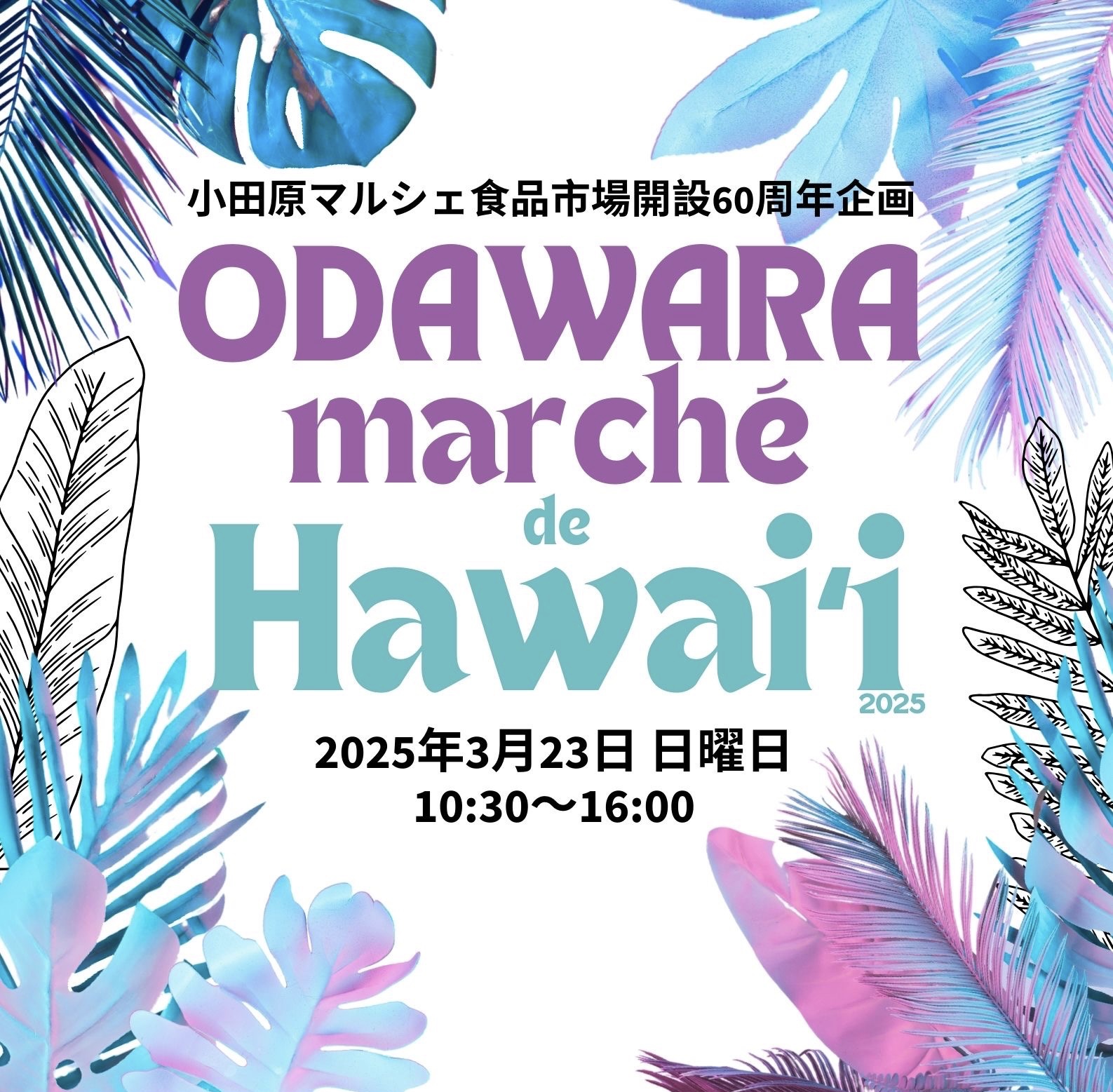 ODAWARA marché de Hawaii TOP